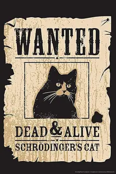 Black Cat Wanted Dead & Alive Schrodinger's Cat Cat Art Pictures Metal Tin Sign Kitchen Pub Novelty Coffee Bar Club Wall Poster