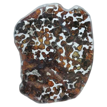 Kenijos alyvuogių meteorito pavyzdys Natūralaus meteorito medžiaga supjaustyta Sericho alyvuogių meteoritų kolekcija
